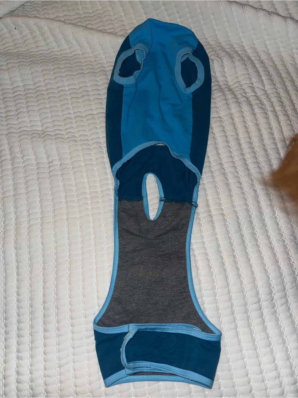 Dog Surgery Recovery Suit